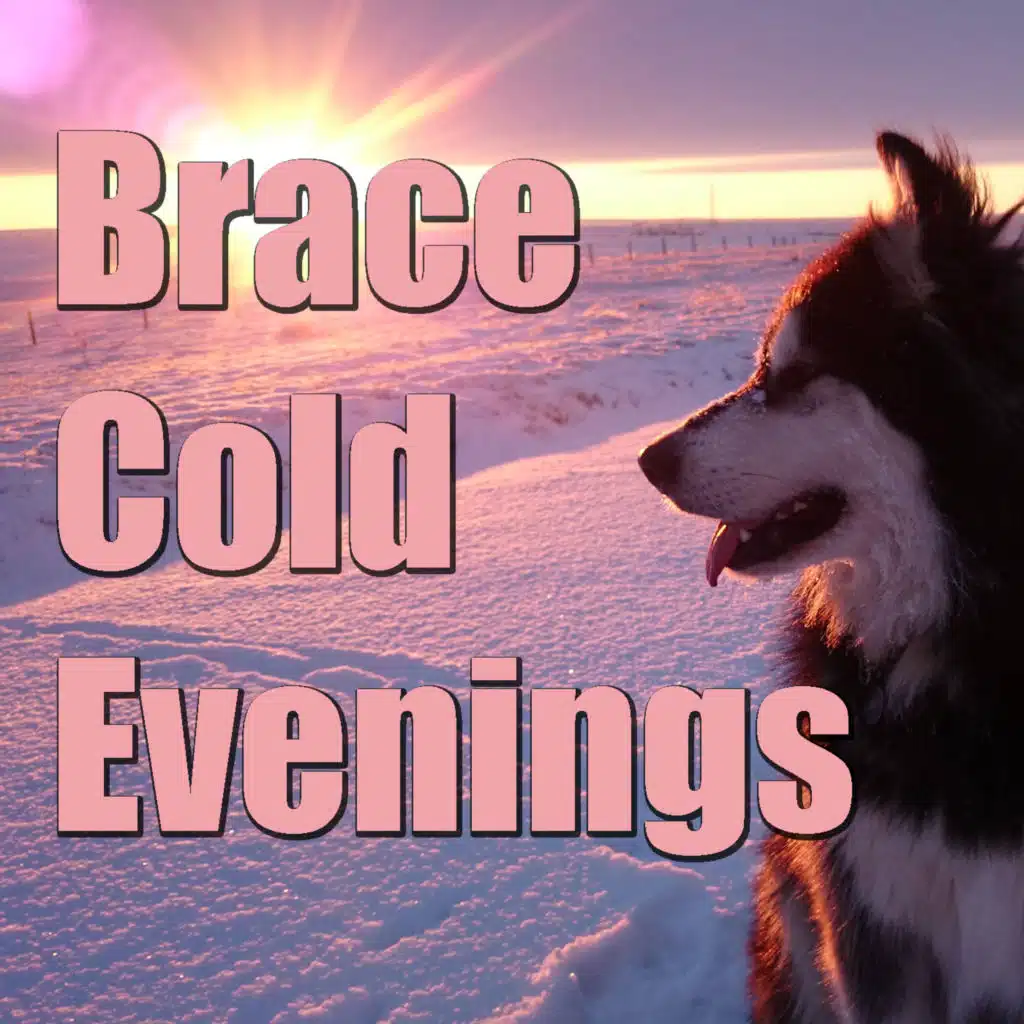 Brace Cold Evenings