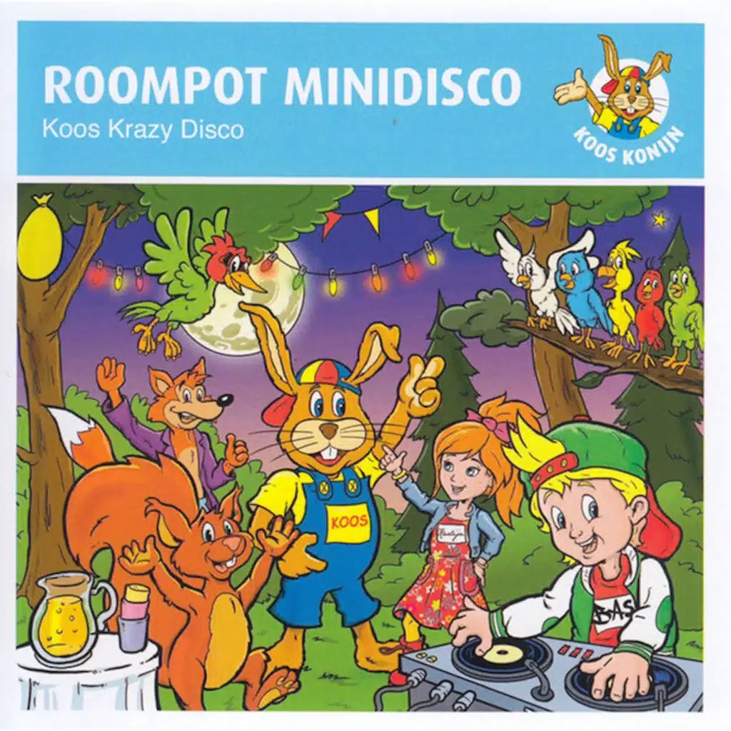 Roompot Minidisco