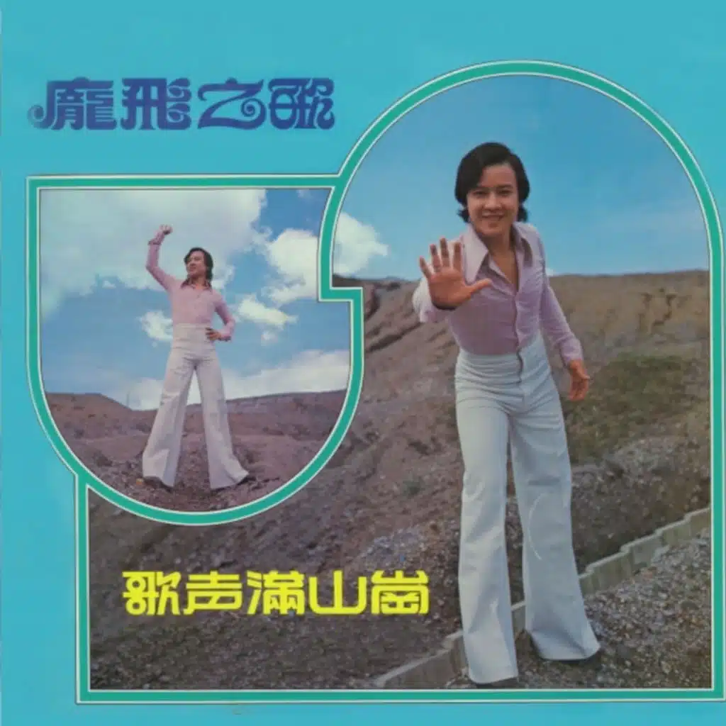 龐飛, 第一集