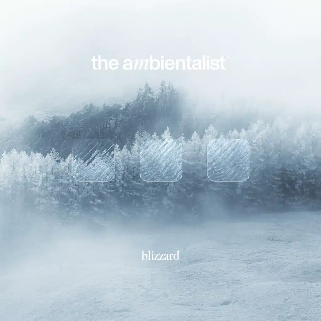 The Ambientalist