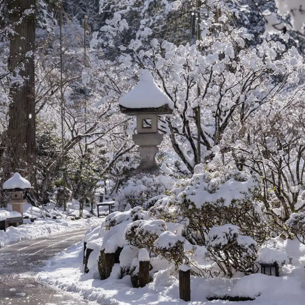 Oliver Shanti & Friends