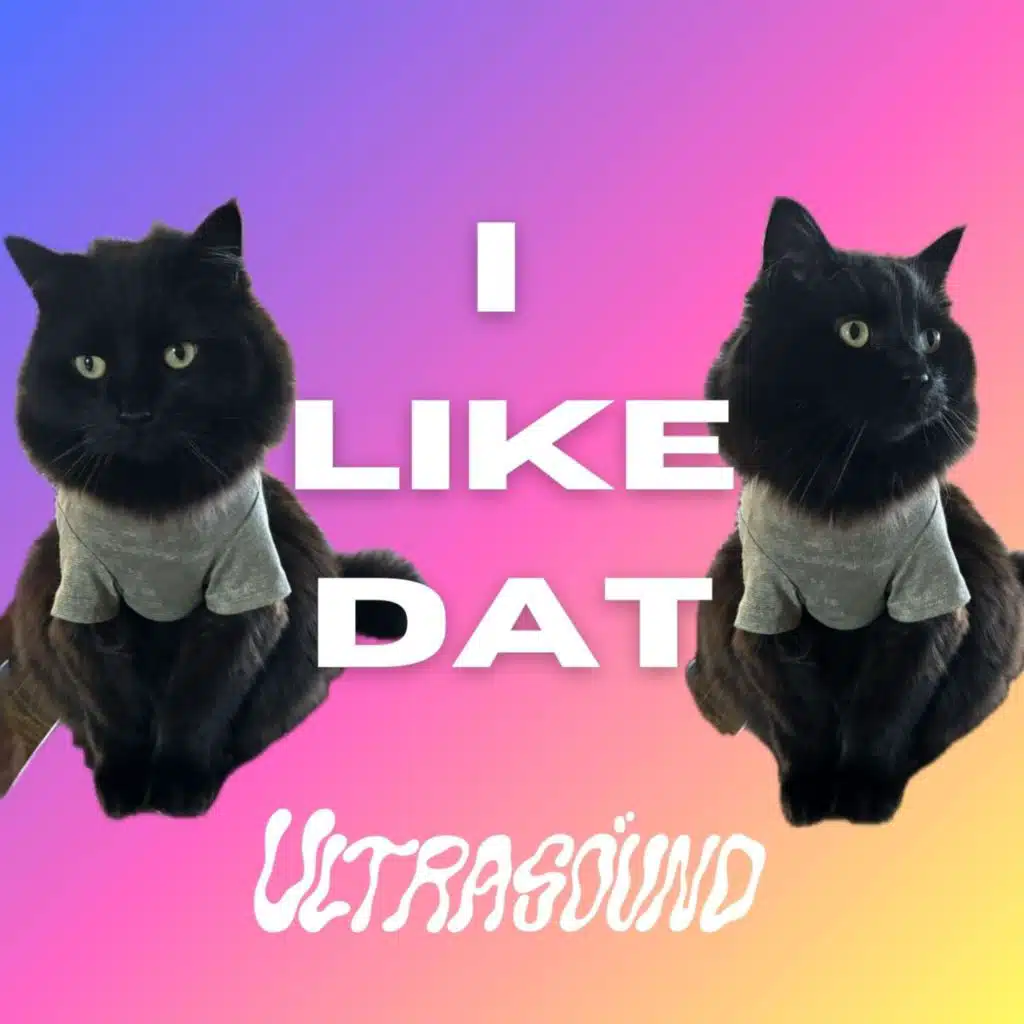 Ultrasound