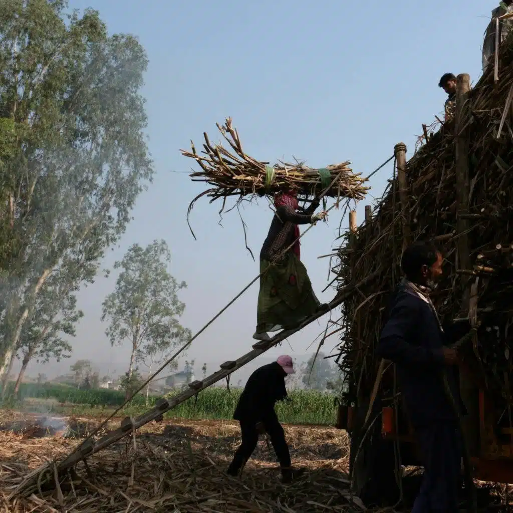 Global employment in 2026: A fragile stability