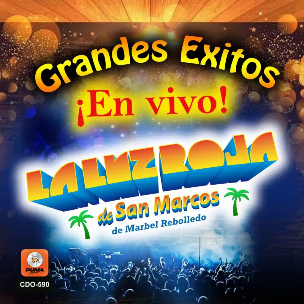 Momentos de Amor (En Vivo)