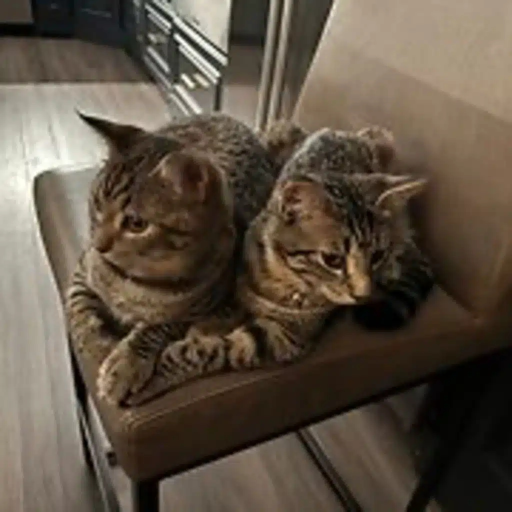 Episode 3079 - The Scott Adams School 01/23/26