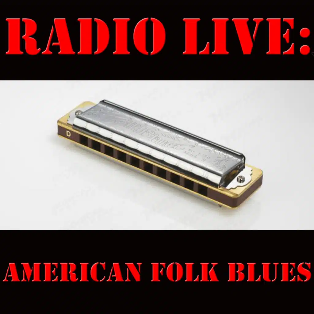 American Folk Blues: FM Broadcasts (Live Session Recording)
