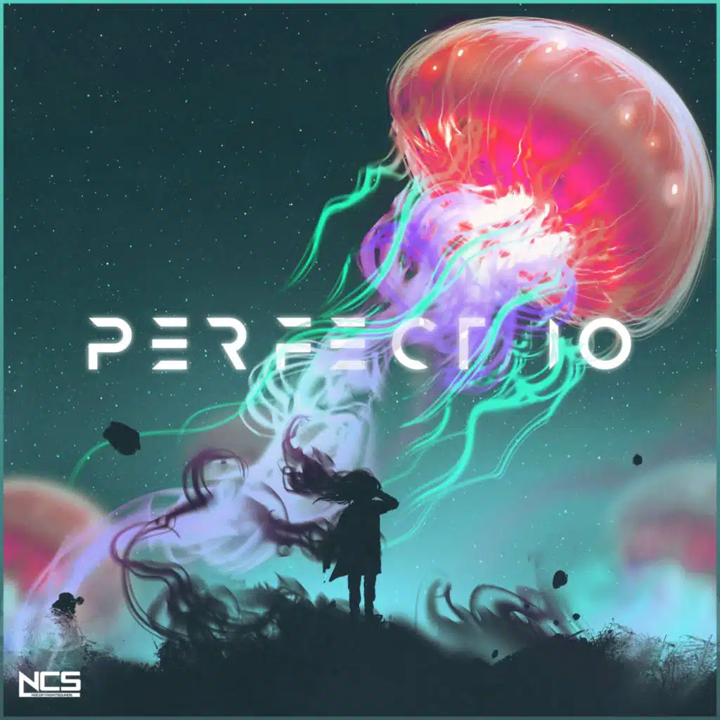 Perfect 10 (VIP Mix)