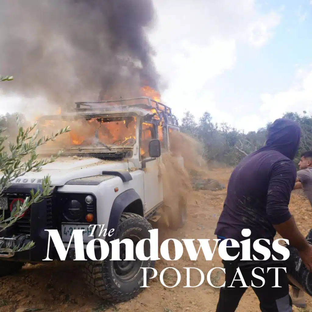 A bloody season: the olive harvest in the West Bank
