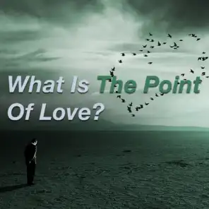 What Is The Point Of Love?