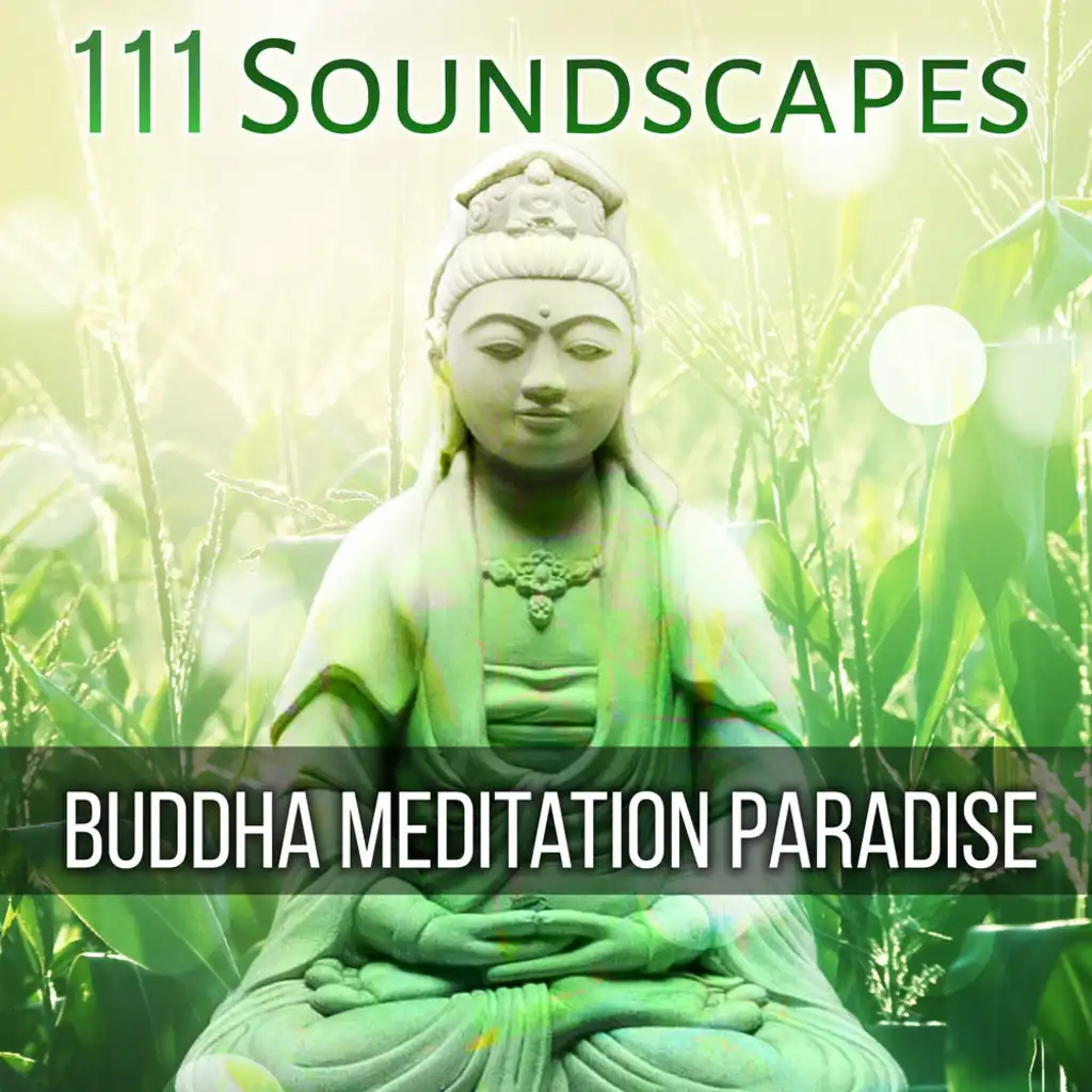 111 Soundscapes: Buddha Meditation Paradise - Relaxing Mindfulness, Zen Hypnotic Music, Heal Imbalances With Pure Nature Sounds, Tantric Yoga, Think Positive to Energize Your Life