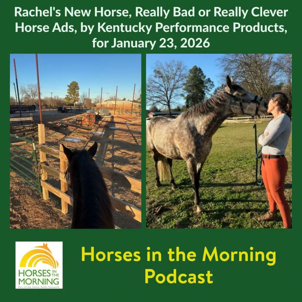 Rachel's New Horse, Really Bad or Really Clever Horse Ads, for January 23, 2026 by Kentucky Performance Products