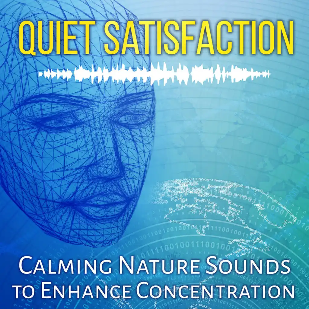 Quiet Satisfaction: Calming Nature Sounds to Enhance Concentration, Music to Inspire Positive Thinking, Exam Study, Calm Mind