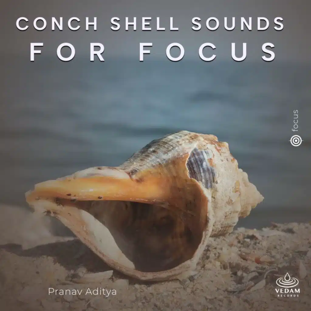 Conch Shell Sounds for Focus