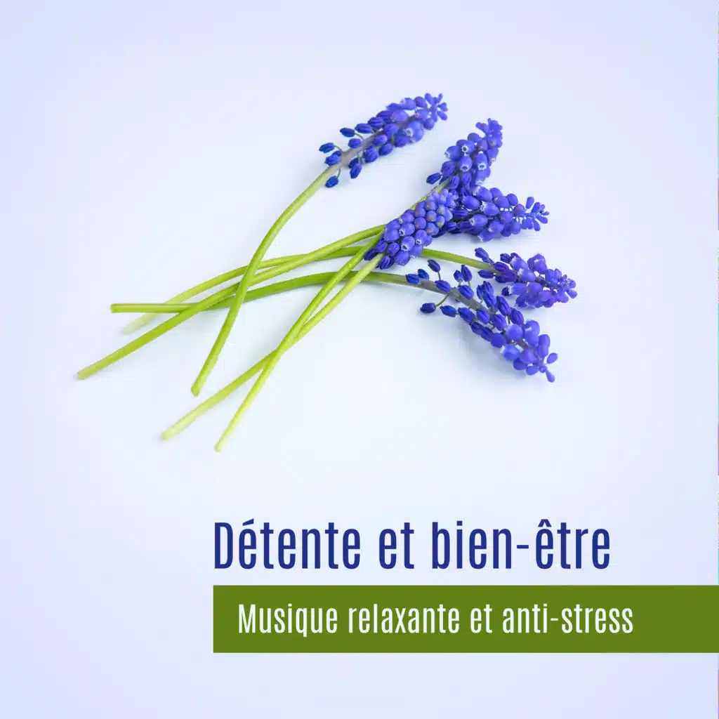 Les sept chakras (Harmonie)