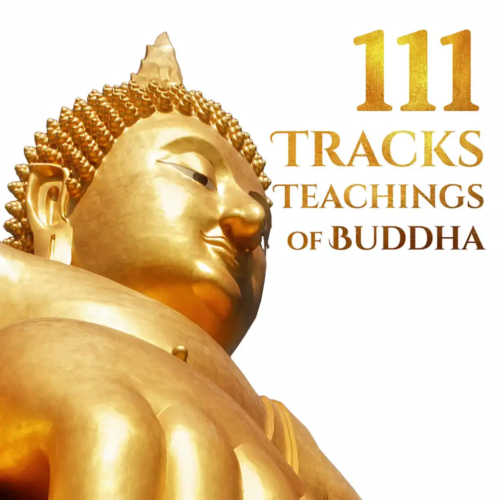 111 Tracks: Teachings of Buddha, Tai Chi Yoga Practice, Asian Zen Meditation Music, Oriental Moments, Qi Gong Vitality, Ayurvedic Healing, Buddhist Wisdom