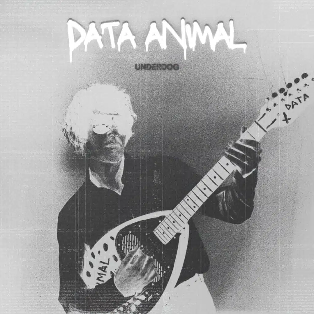 Data Animal