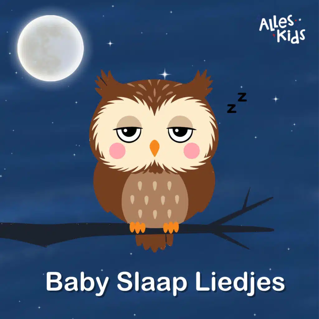 Baby Slaap Liedjes