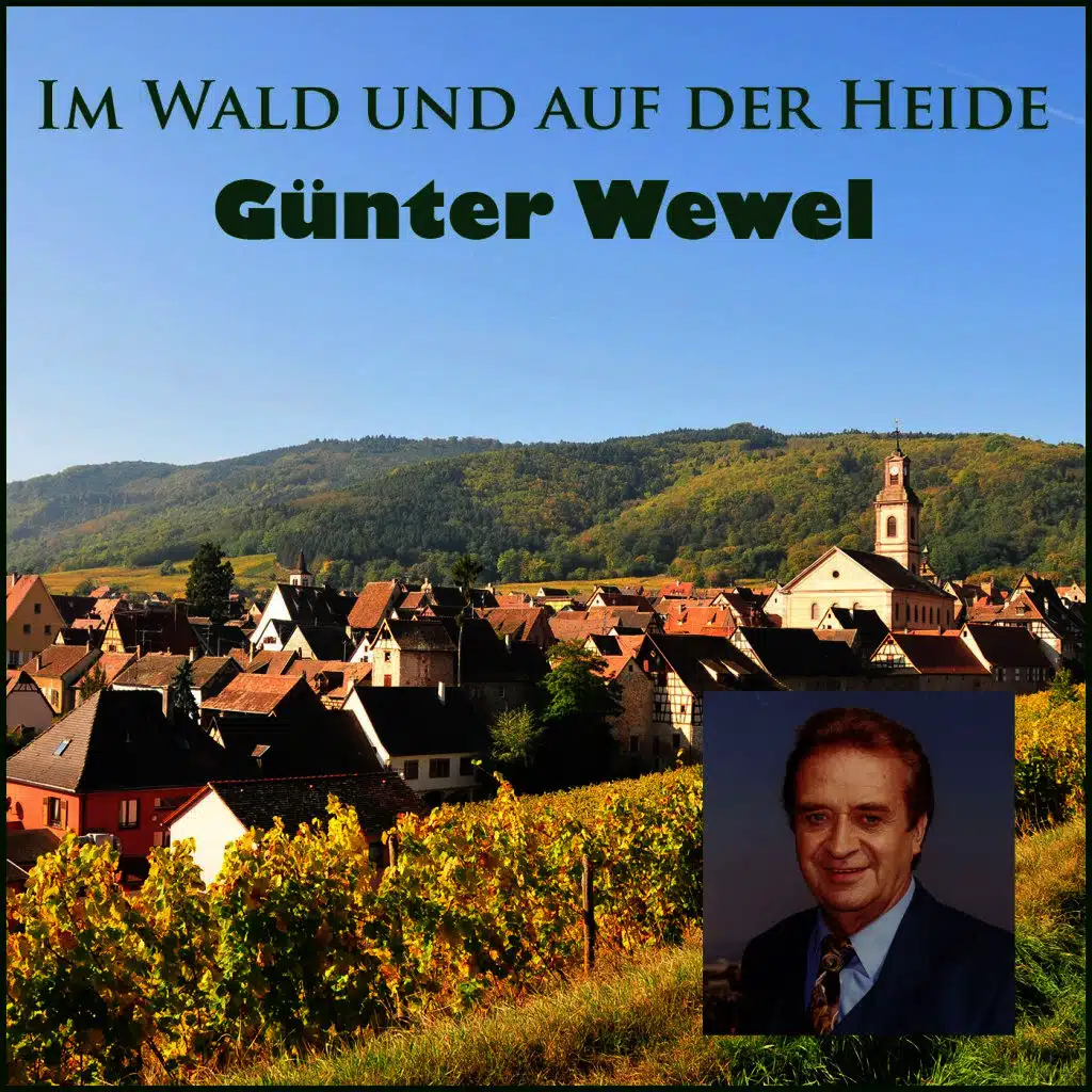 Im Wald und auf der Heide