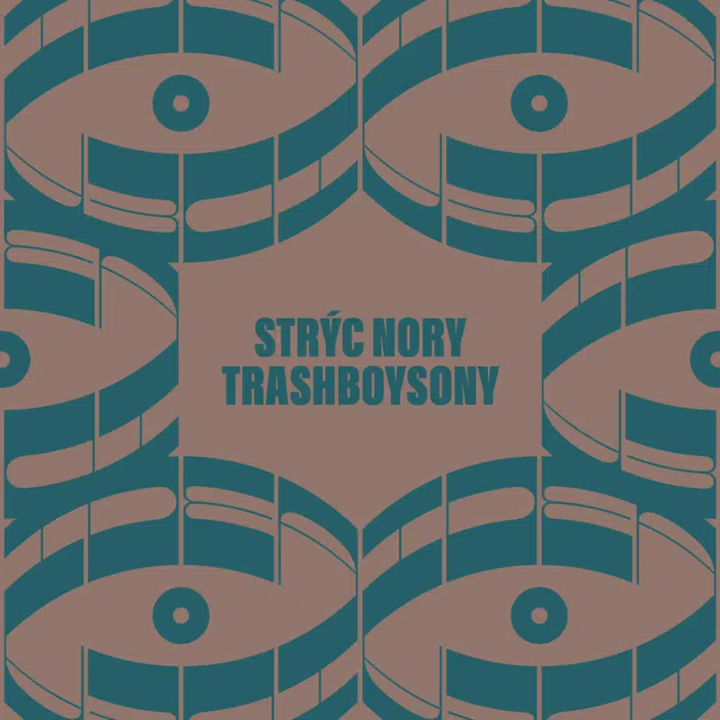 Utržený sluchátko / Puma