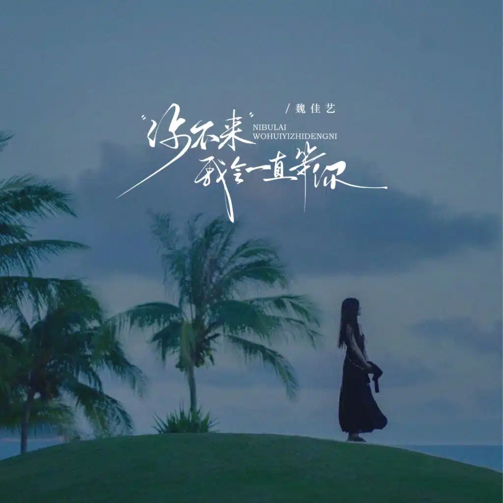 你不来我会一直等你