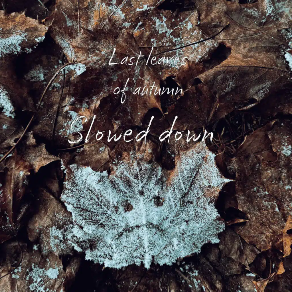 Last Leaves of Autumn (Slowed Down)