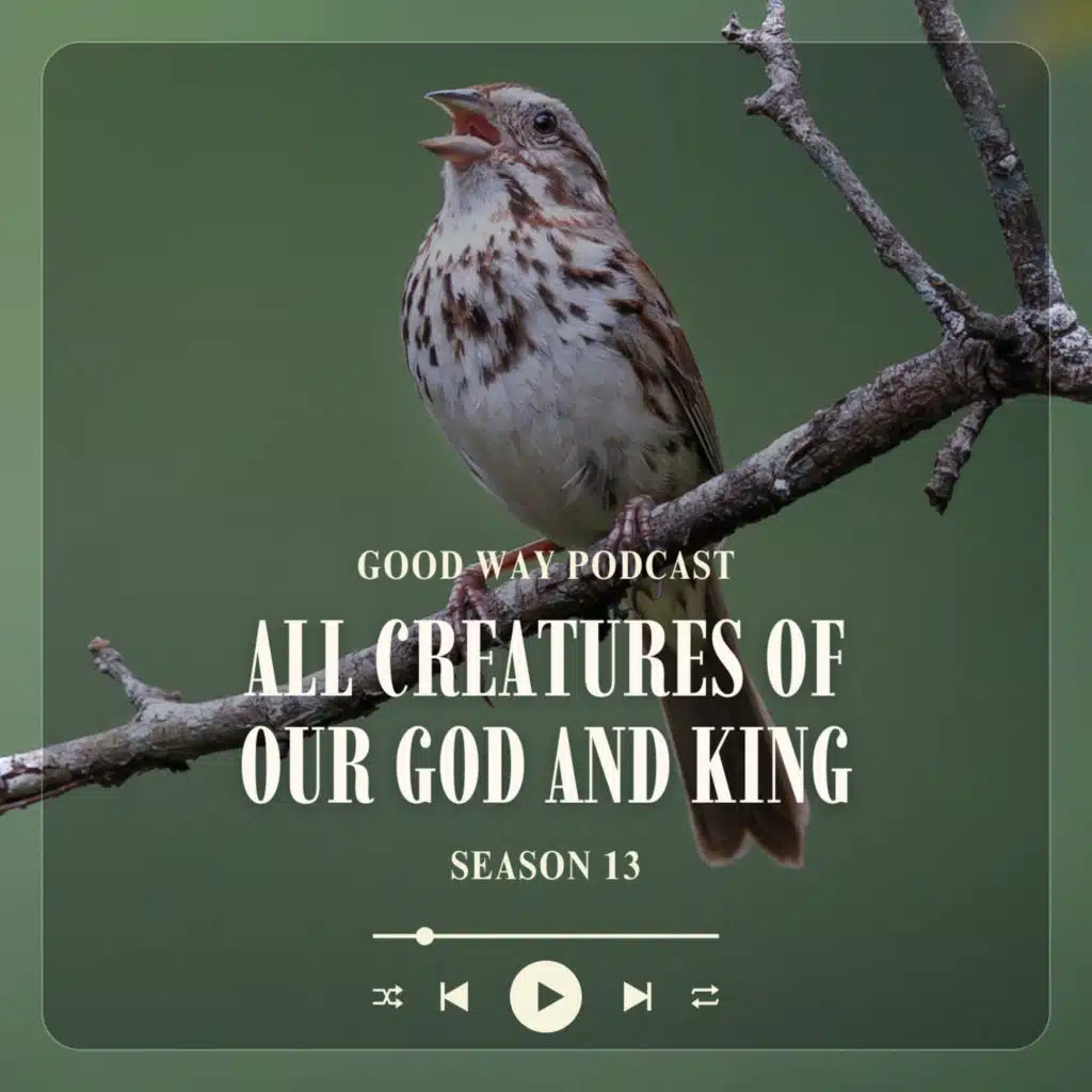 Season 13 Episode 4: The Industrious Flickers