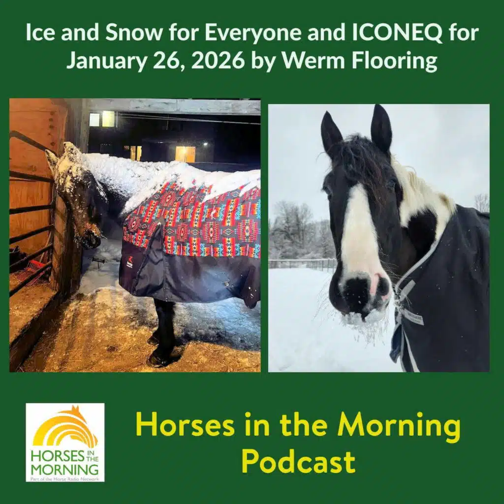 Ice and Snow for Everyone and ICONEQ for January 26, 2026 by WERM Flooring