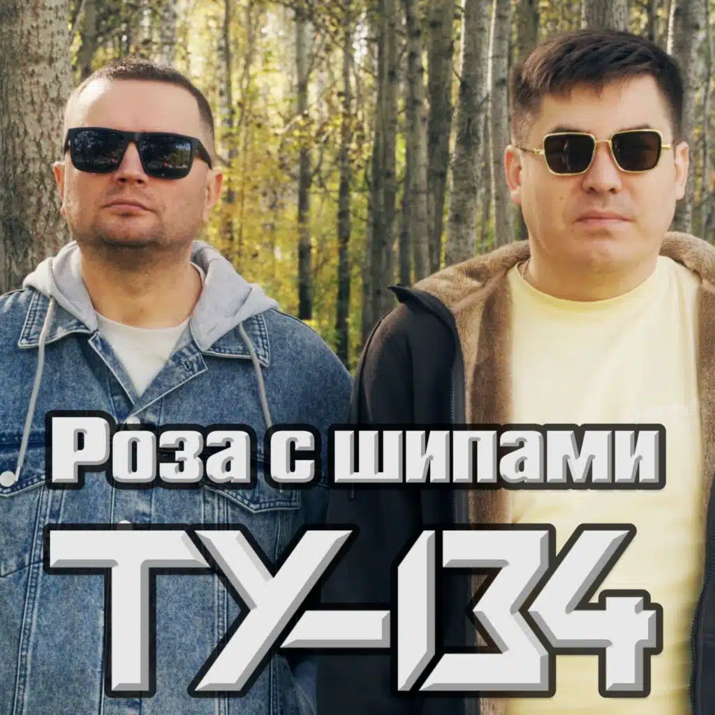 ТУ-134