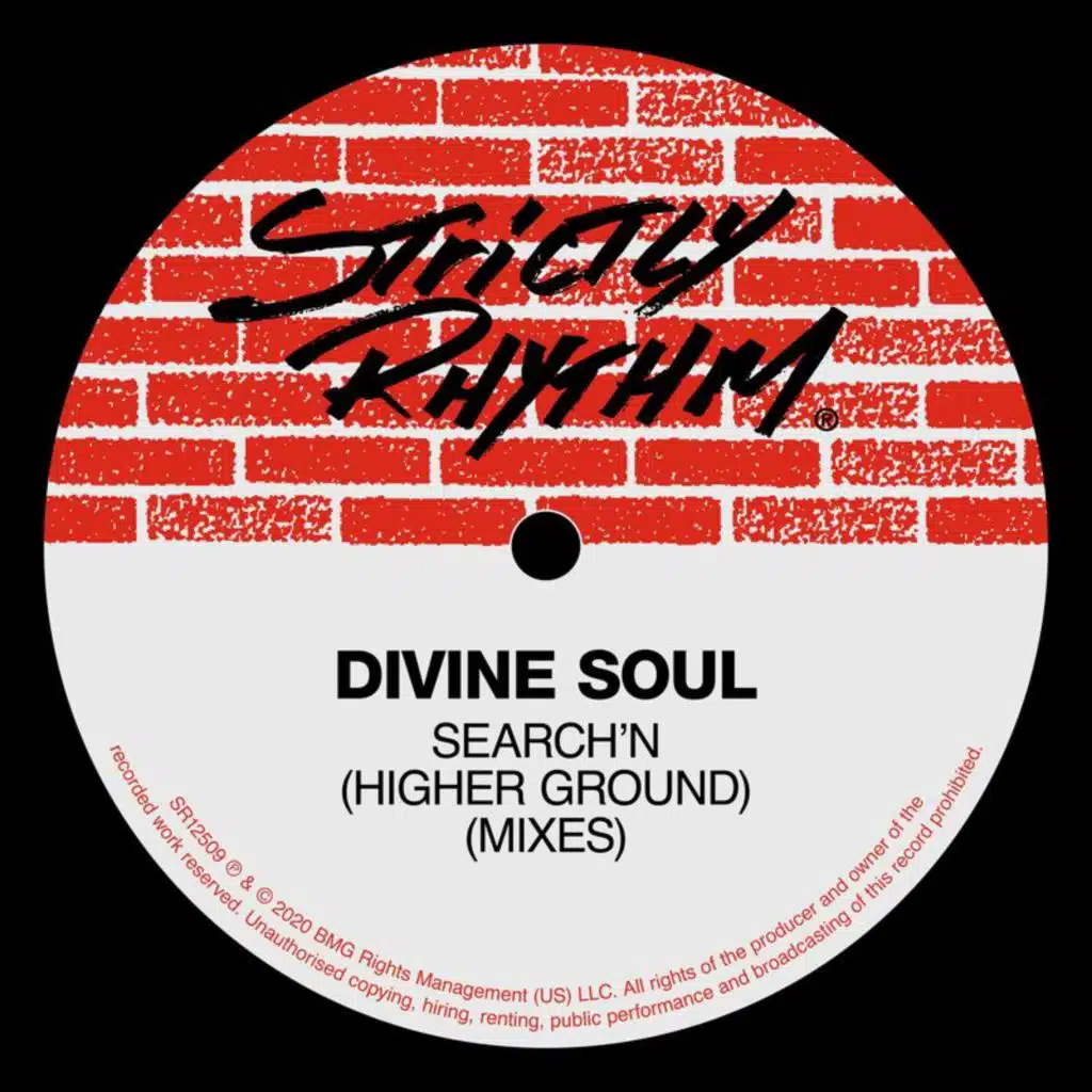 Search'N (Higher Ground) (Mixes)
