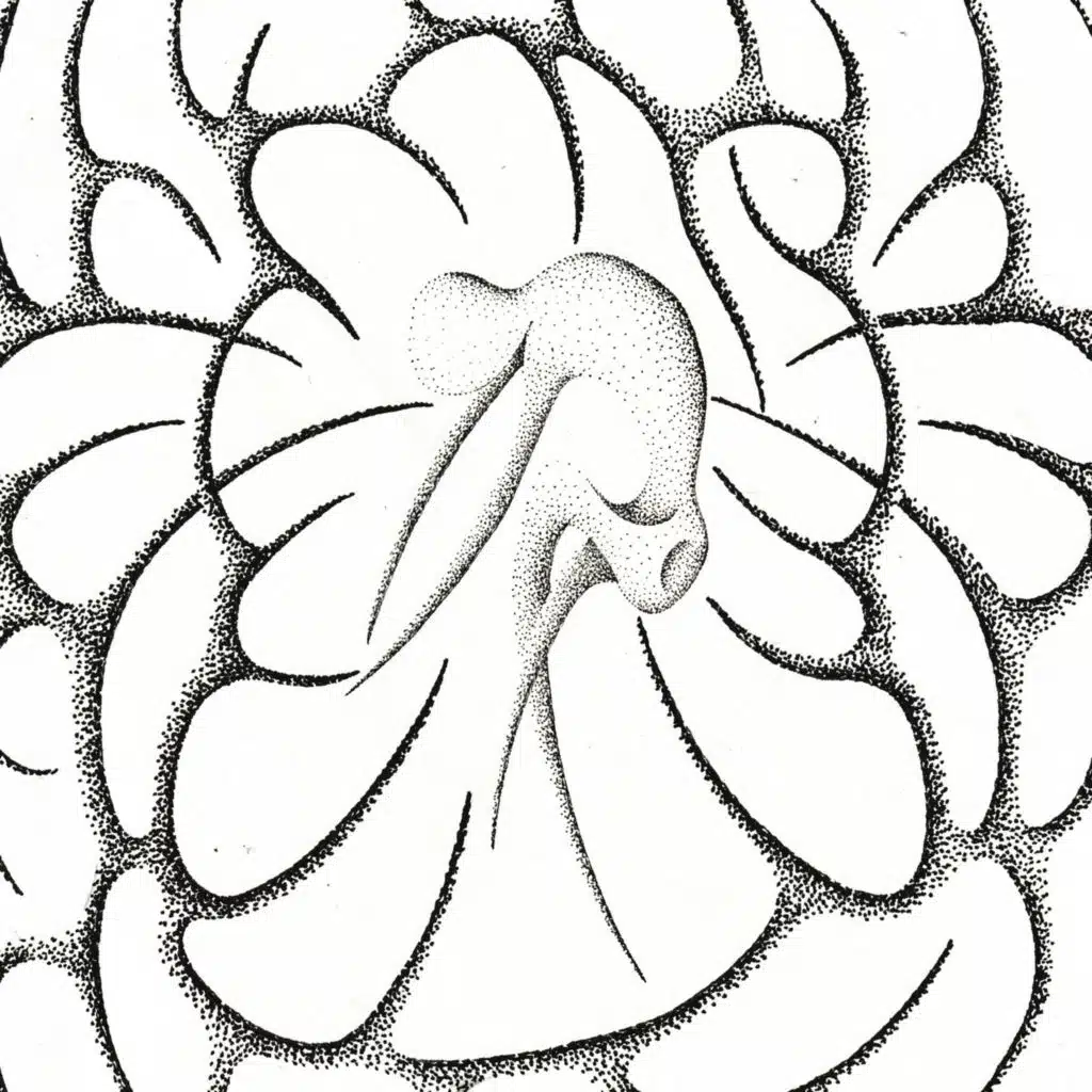 SPLIT