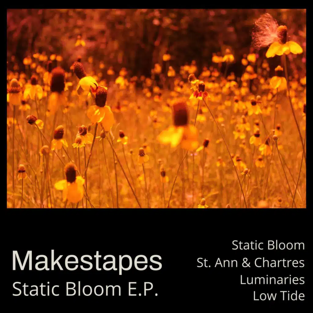 Static Bloom EP