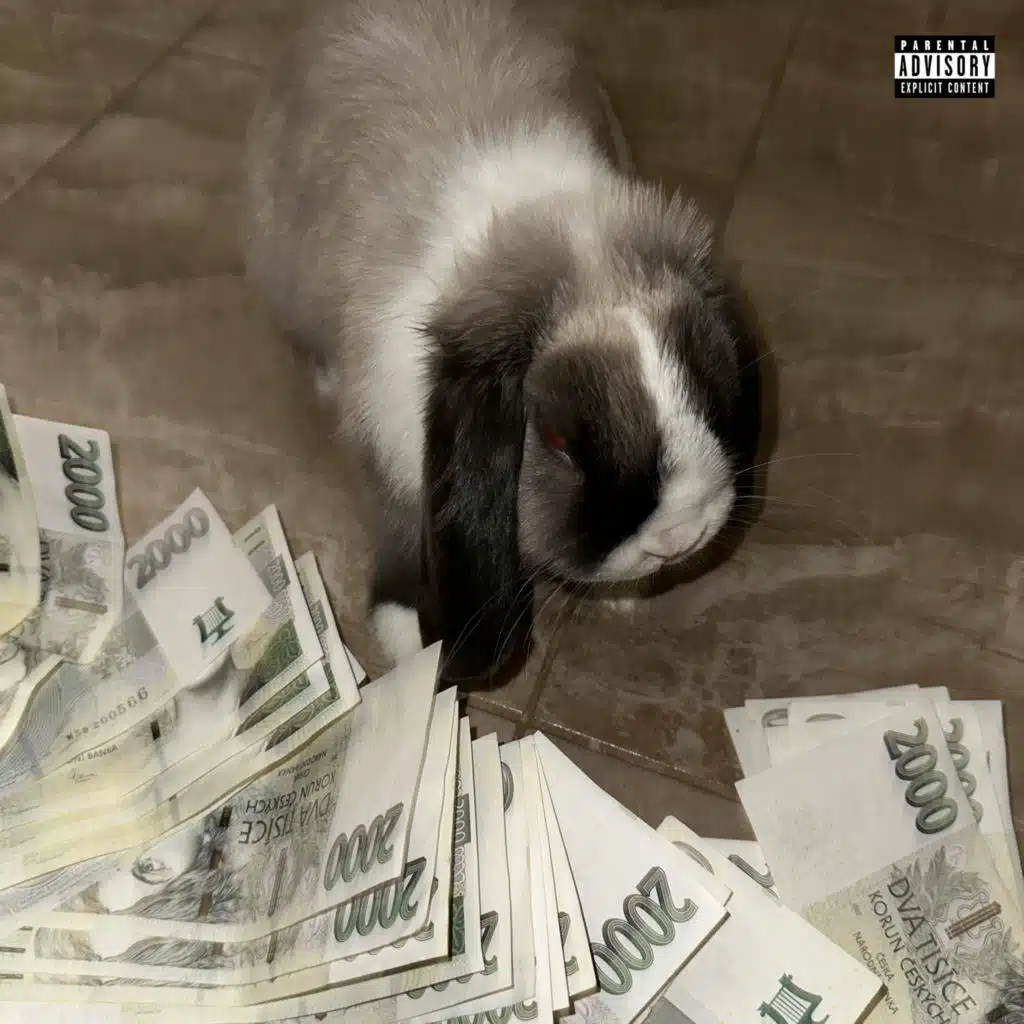 CHRAŇ SI SVOU ŽENU