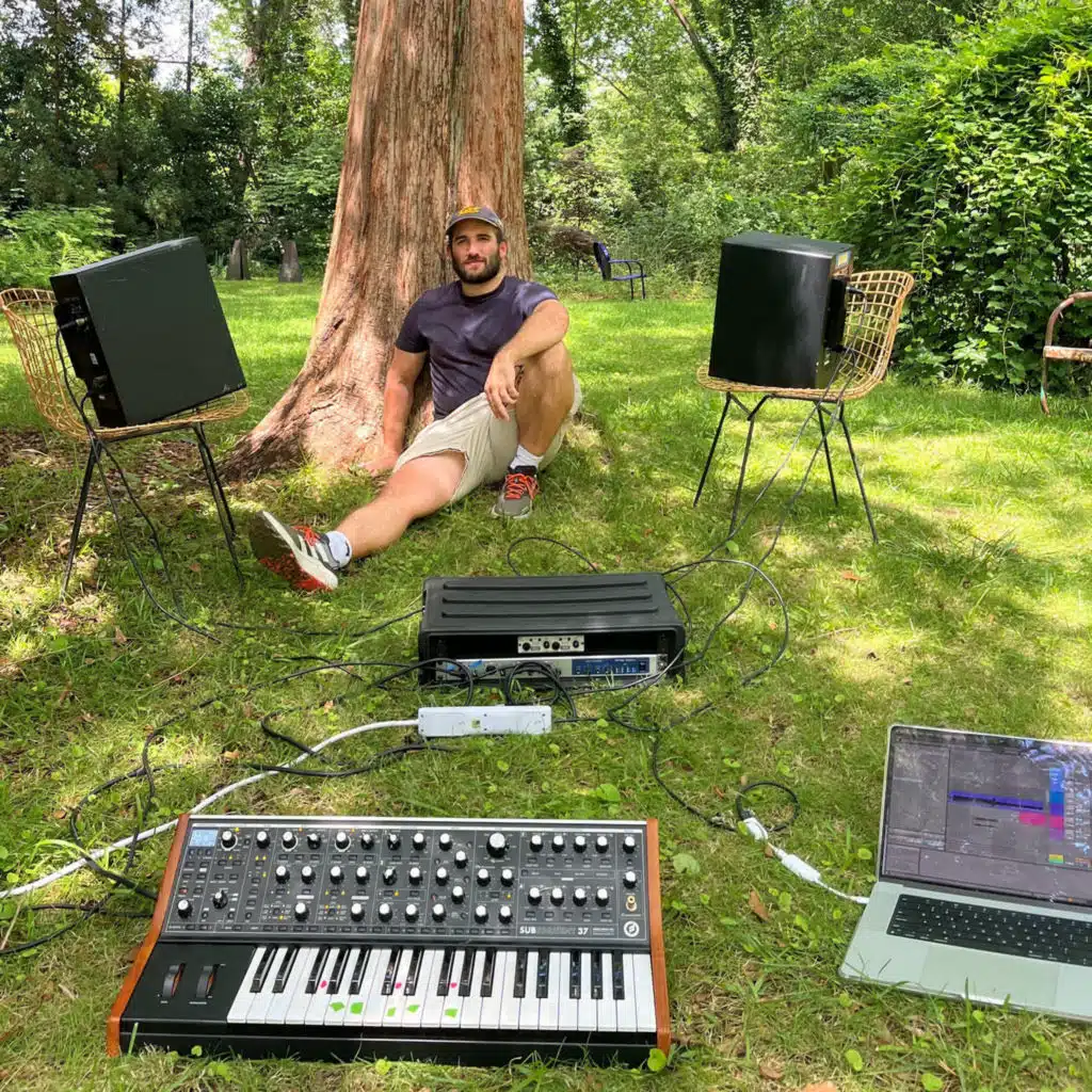 Musical termites?  What happens when you let nature sing