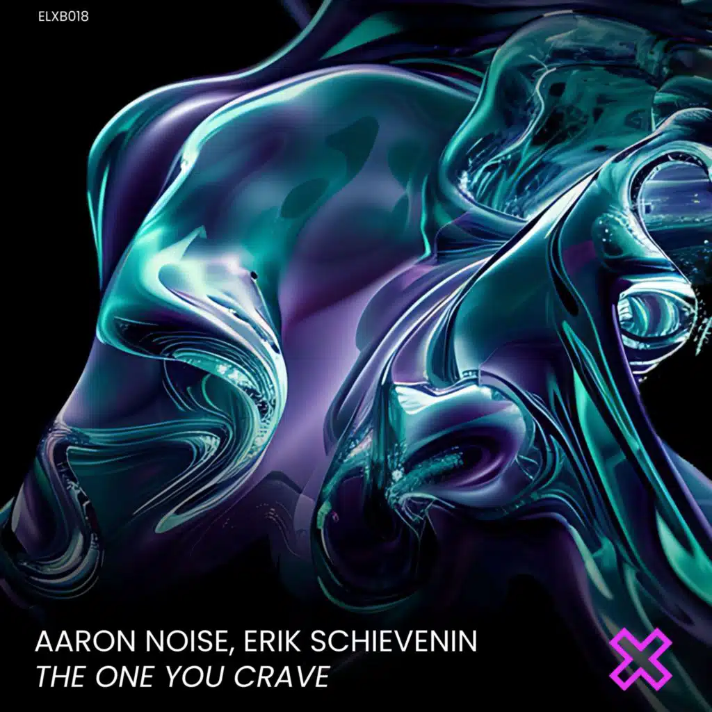 Erik Schievenin & Aaron Noise