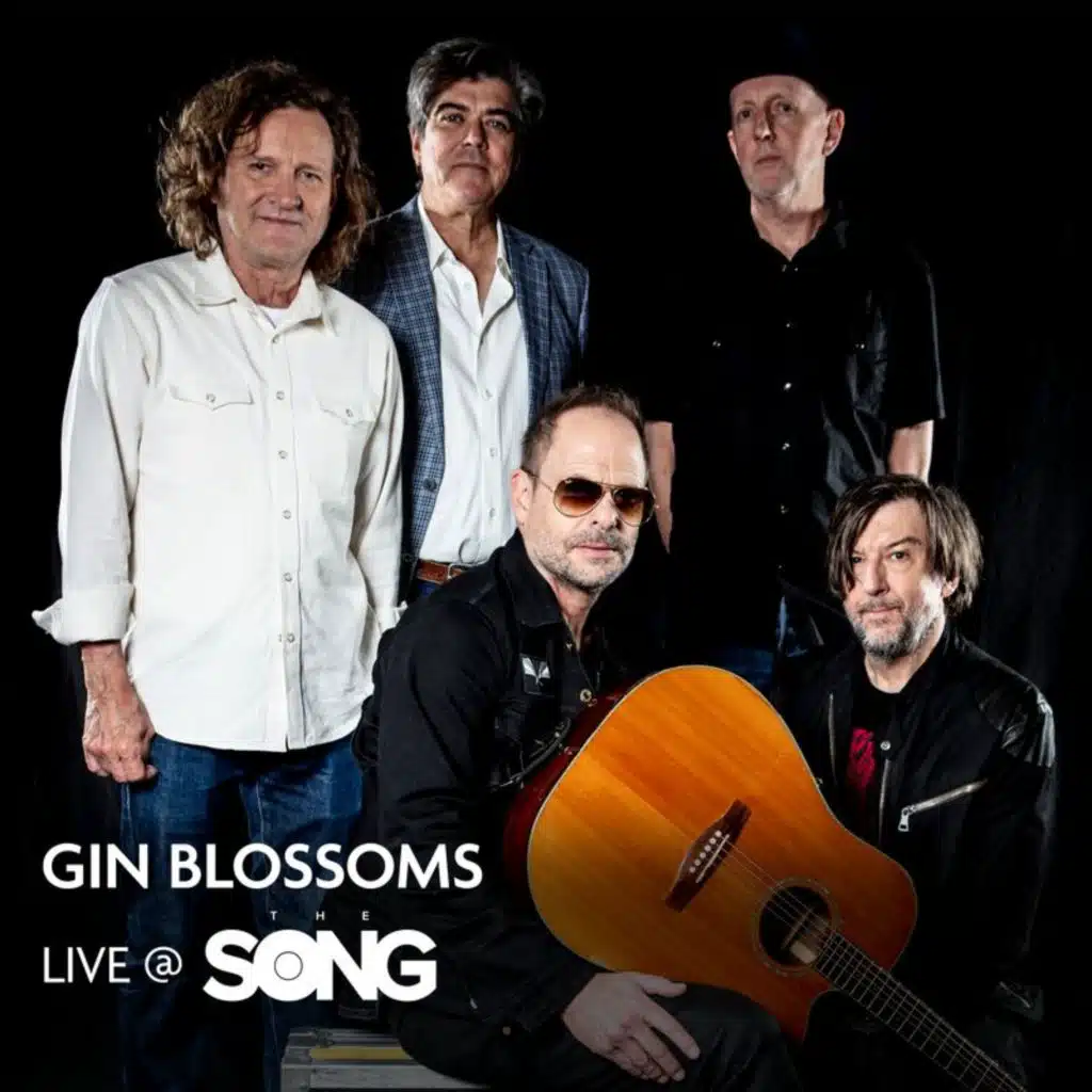 Gin Blossoms