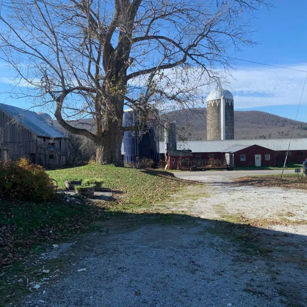 What class are you Jules?