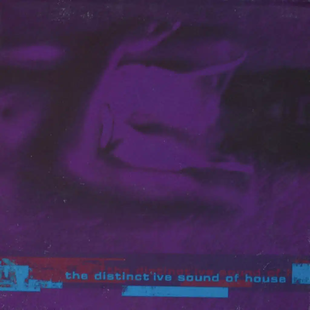 Distinctive Sound Of House, Vol. 2