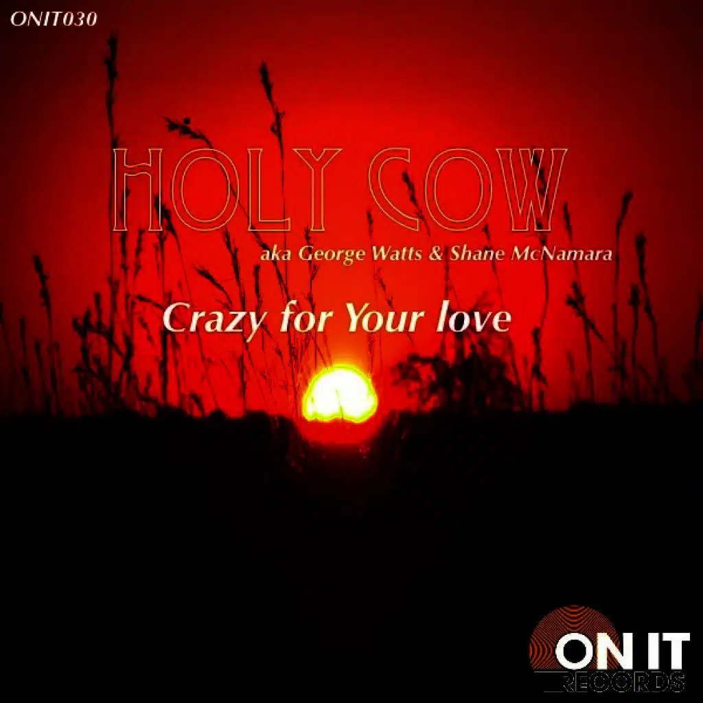 Crazy for Your Love
