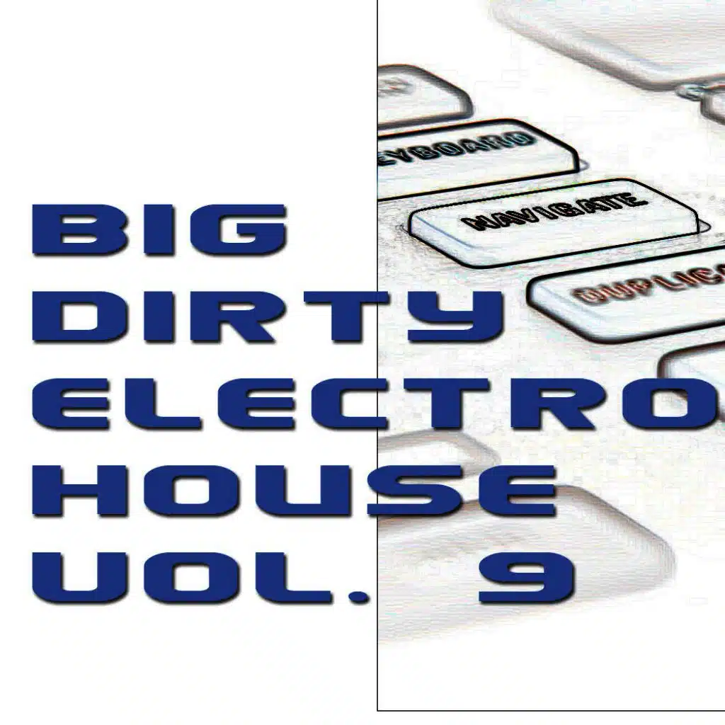 Big Dirty Electro House Vol. 9
