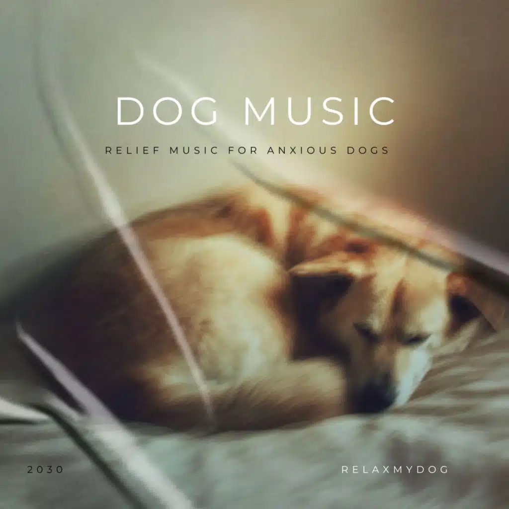 Dog Music - Relief Music for Anxious Dogs