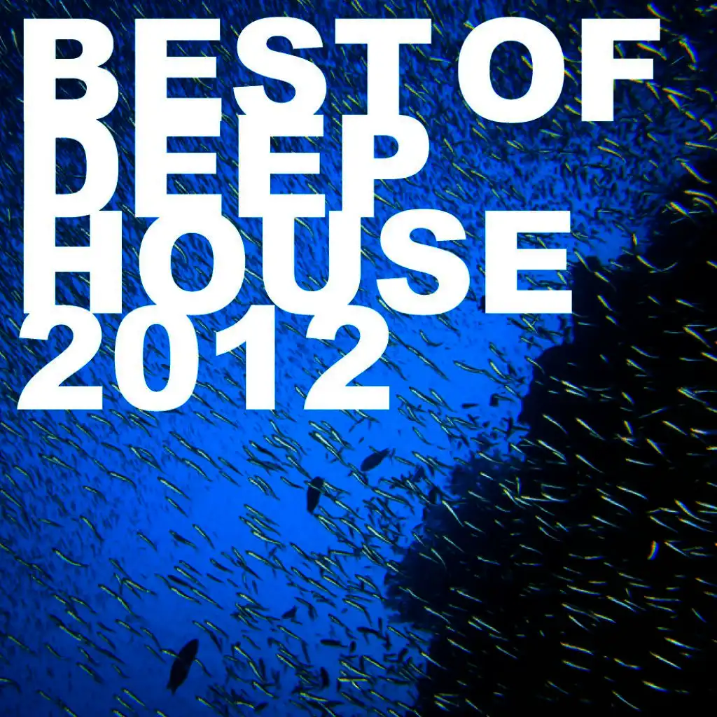 Best of Deep House 2012