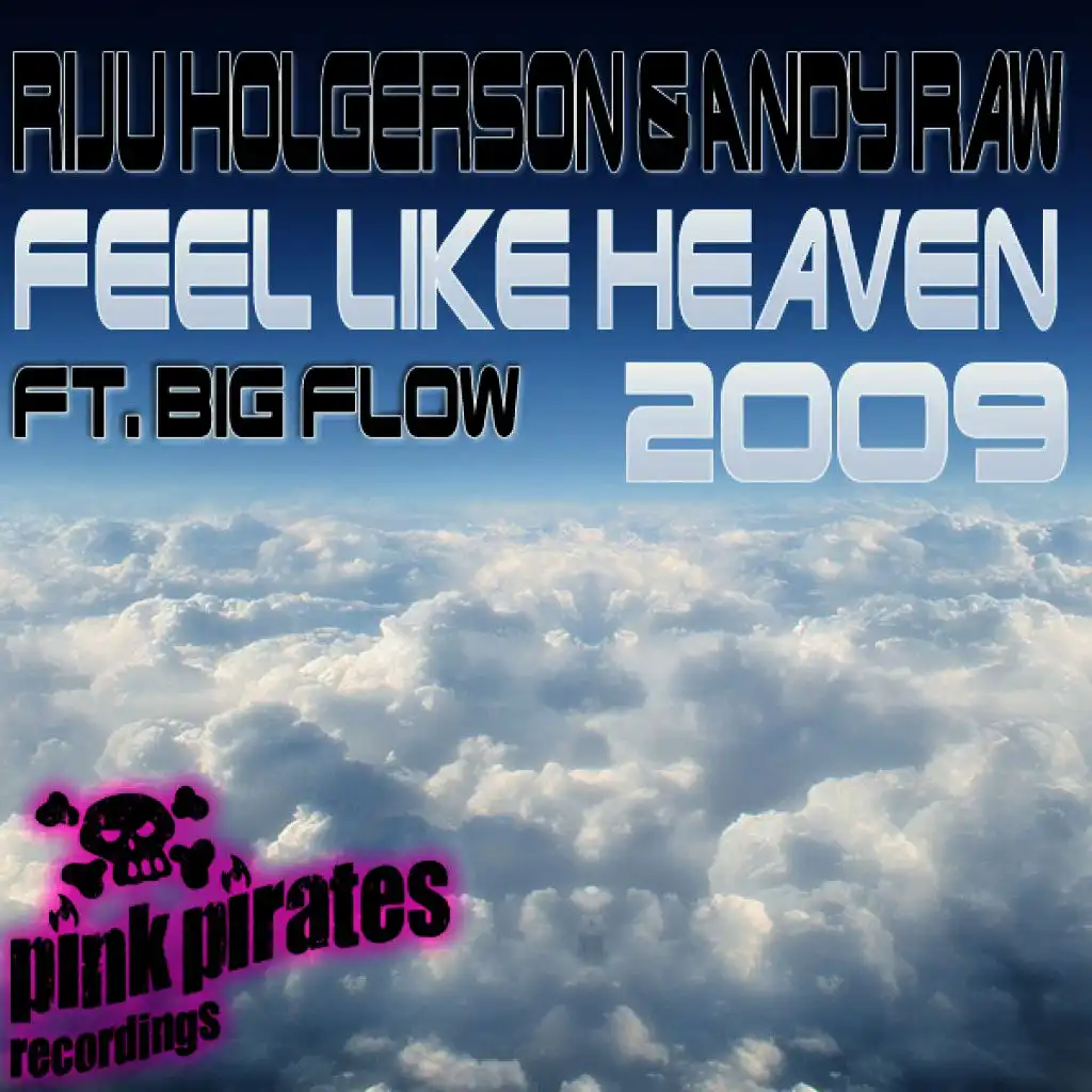 Riju Holgerson & Andy Raw feat. Big Flow