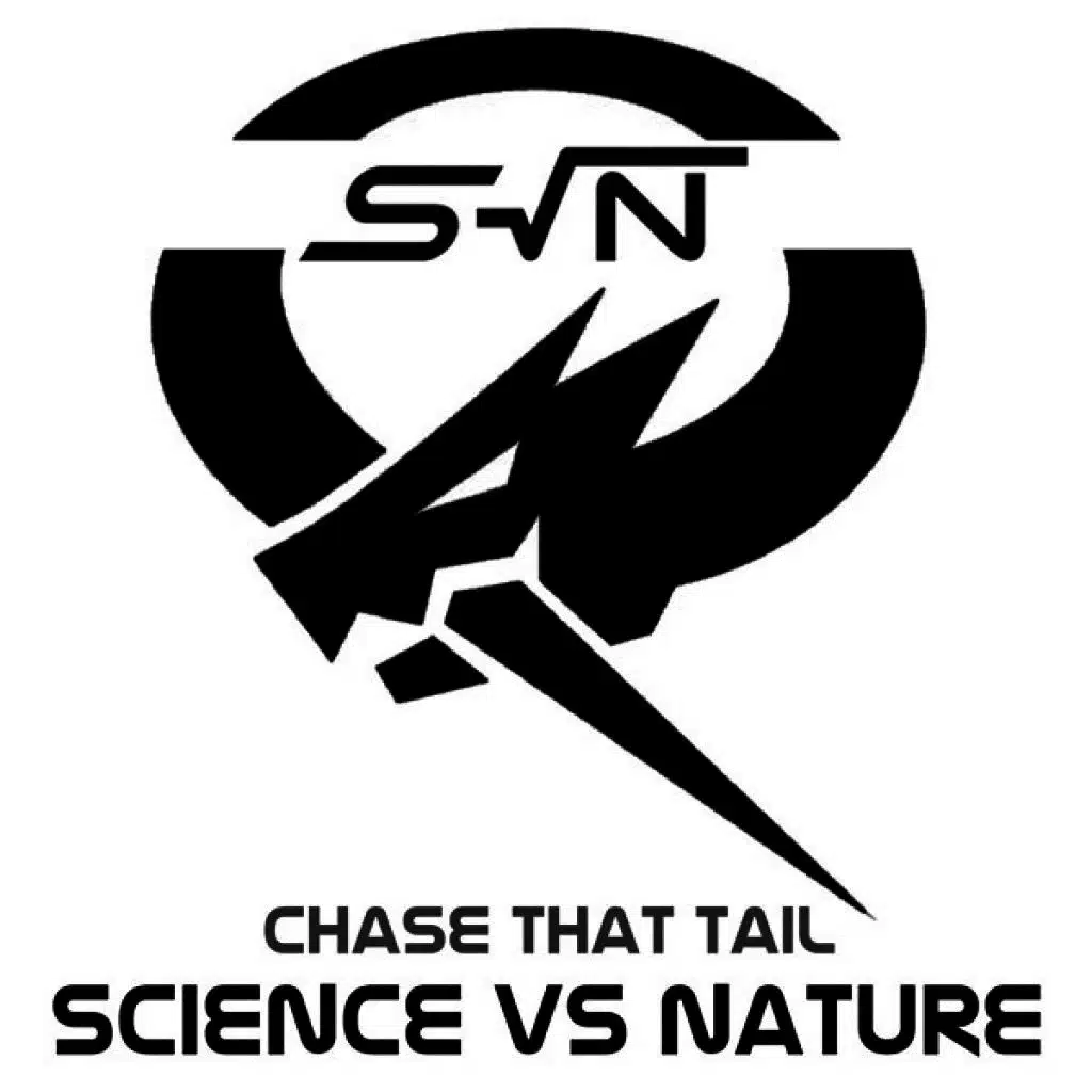Chase That Tail