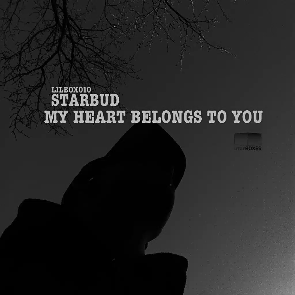 My Heart Belongs to You