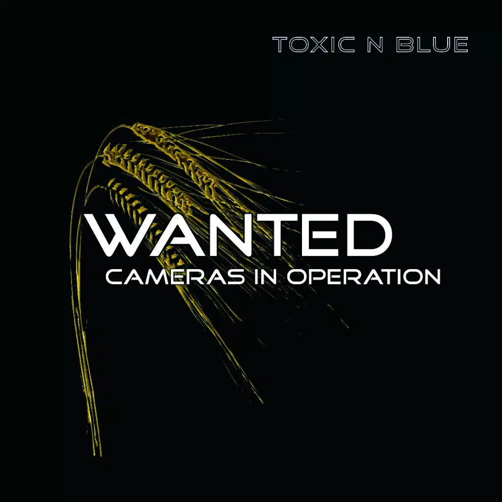 Toxic N Blue