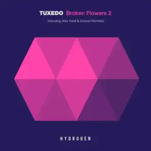 Broken Flower (feat. Groven)