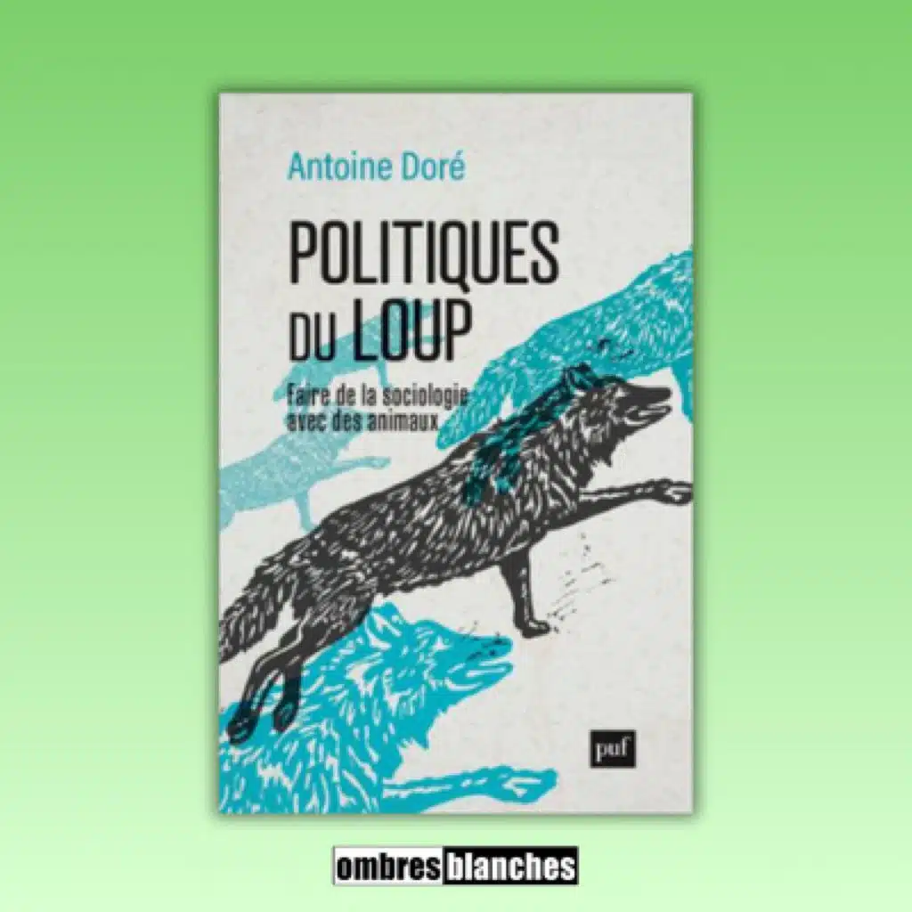 Antoine Doré → Politiques du loup. Faire de la sociologie avec des animaux