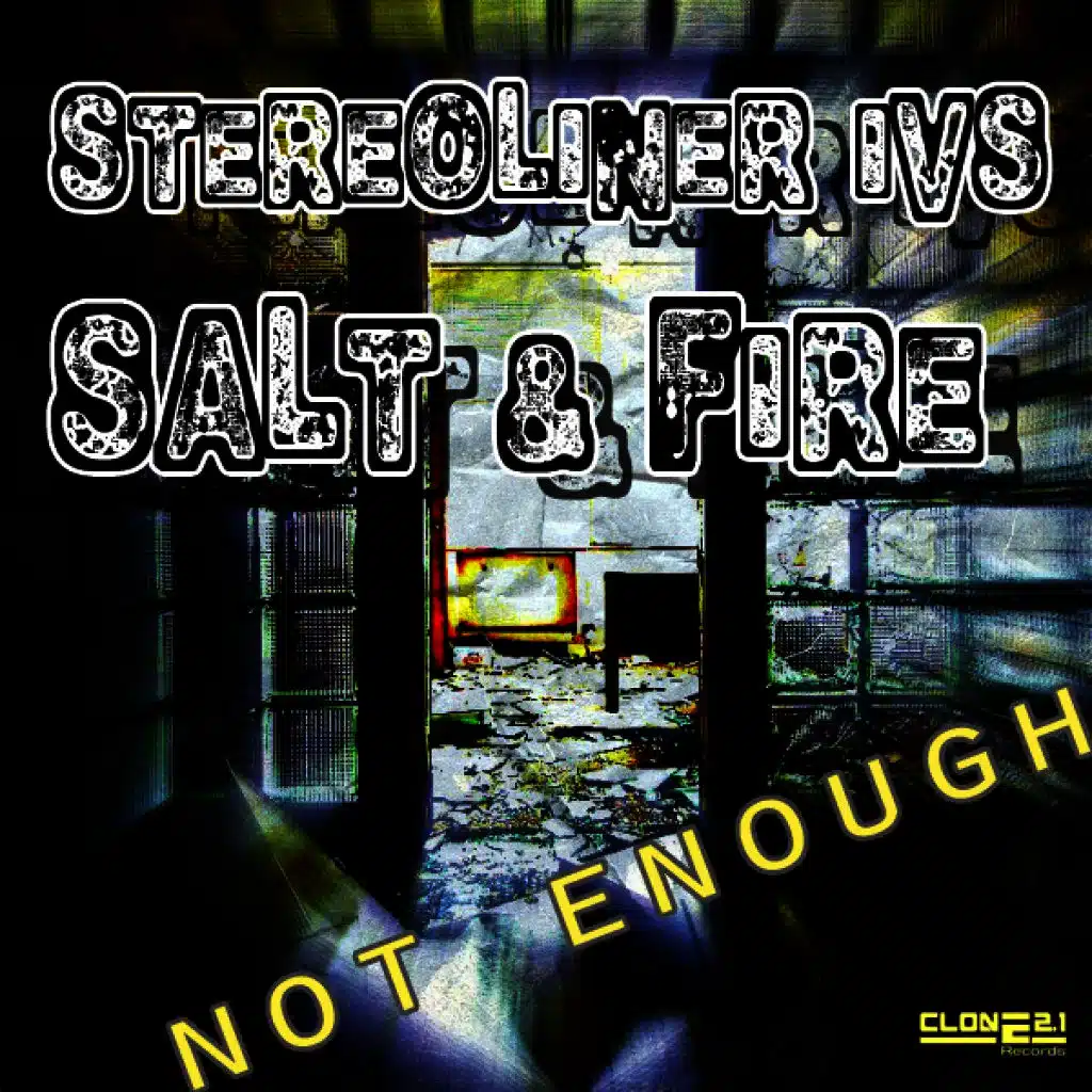 Stereoliner vs. Salt & Fire