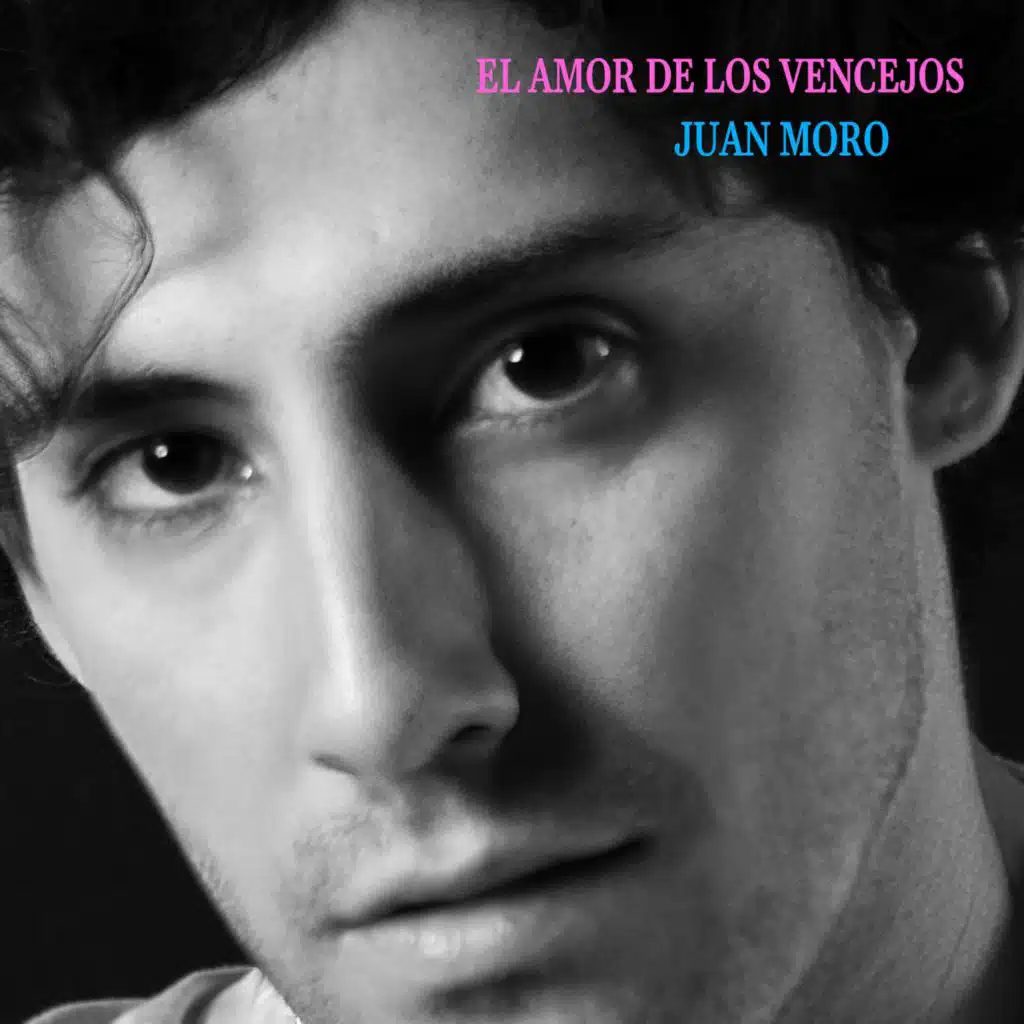 El amor de los vencejos