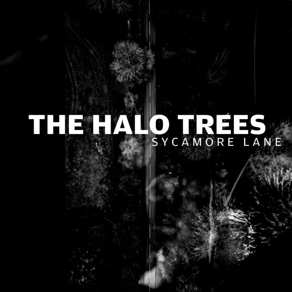 The Halo Trees